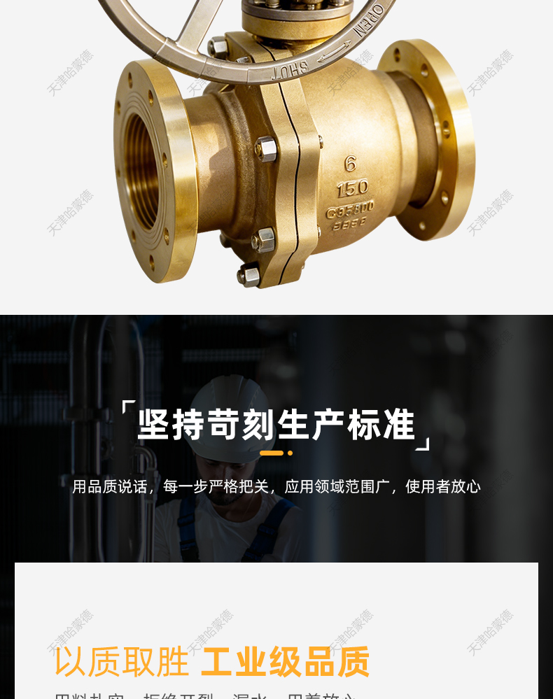 哈蒙德美标镍铝青铜C95800涡轮球阀Q341F-150LBT-6法兰连接海水.jpg
