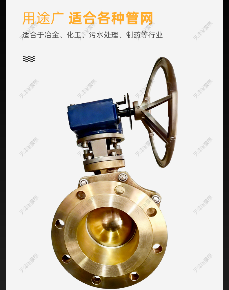 哈蒙德美标镍铝青铜C95800涡轮球阀Q341F-150LBT-6法兰连接海水.jpg