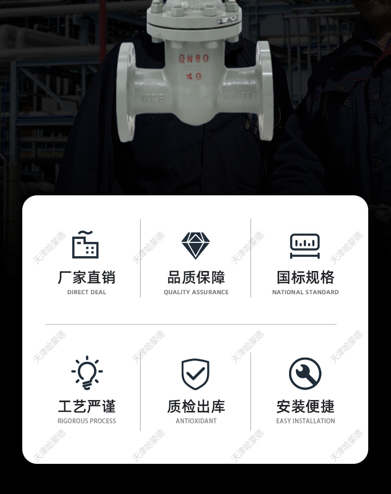 哈蒙德电动法兰闸阀Z941H-16C铸钢电动法兰闸阀DN50-300.jpg
