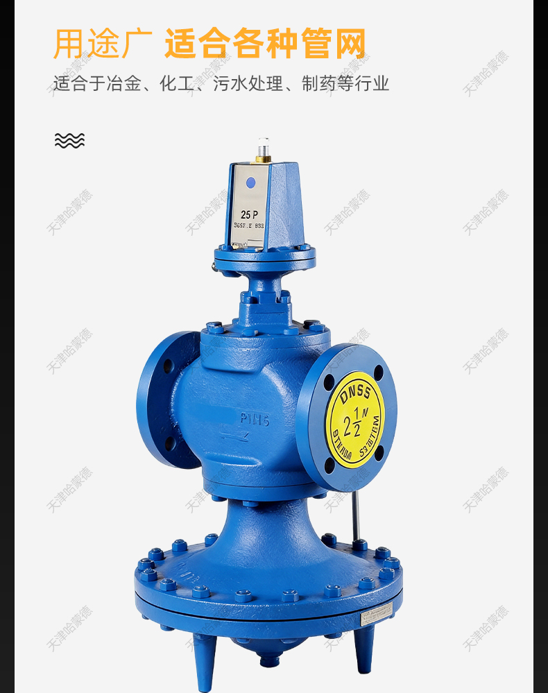 哈蒙德斯派莎克型先导薄膜式蒸汽减压阀PRV-25P PN16防泄漏微压.jpg