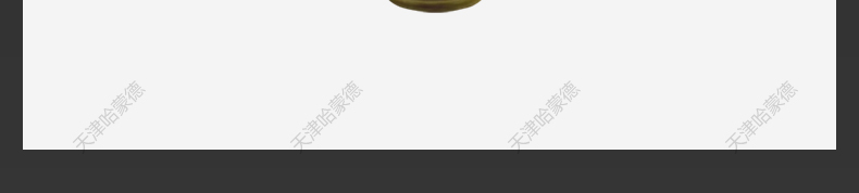 哈蒙德自动排气阀 立式快速放气阀 镀锌暖气管道自动排气阀 空调.jpg