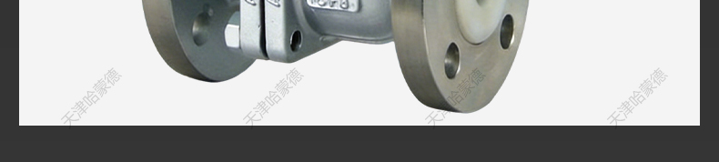 哈蒙德气动衬氟不锈钢法兰球阀全塑料气动执行器气缸防腐单双作用.jpg
